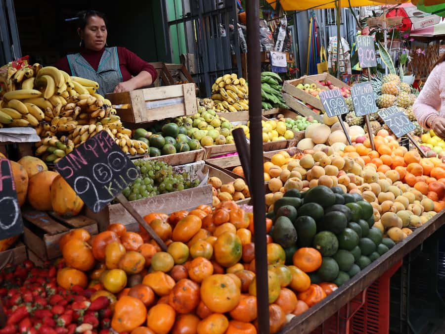 Lima: Villa El Salvador Shanty Town Tour - Key points at a glance