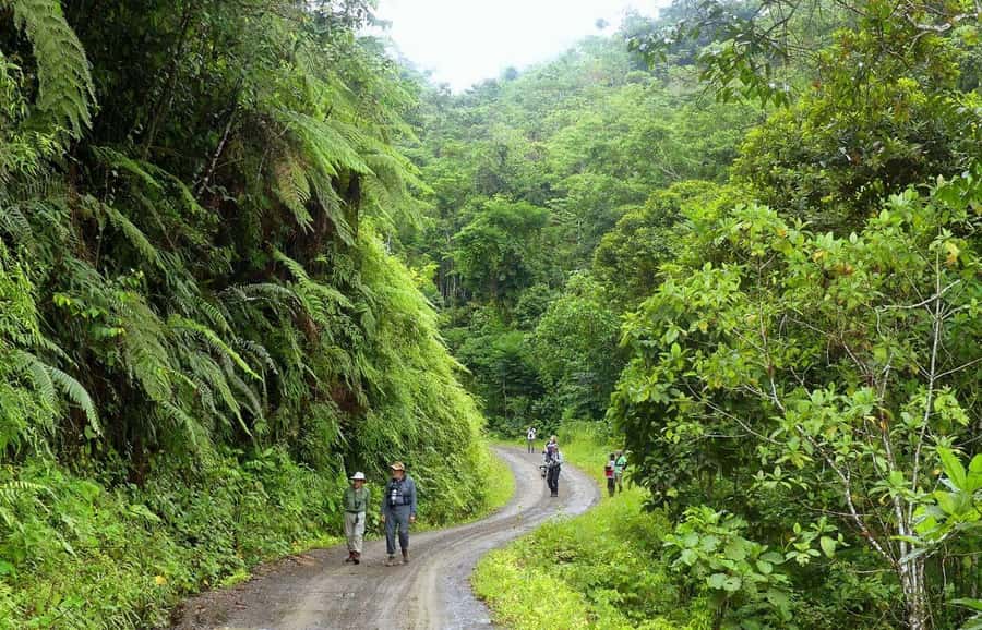 Living Nature from Cusco: 3 Days Manu Jungle all inclusive - Why the Cusco to Manu route is worth your time