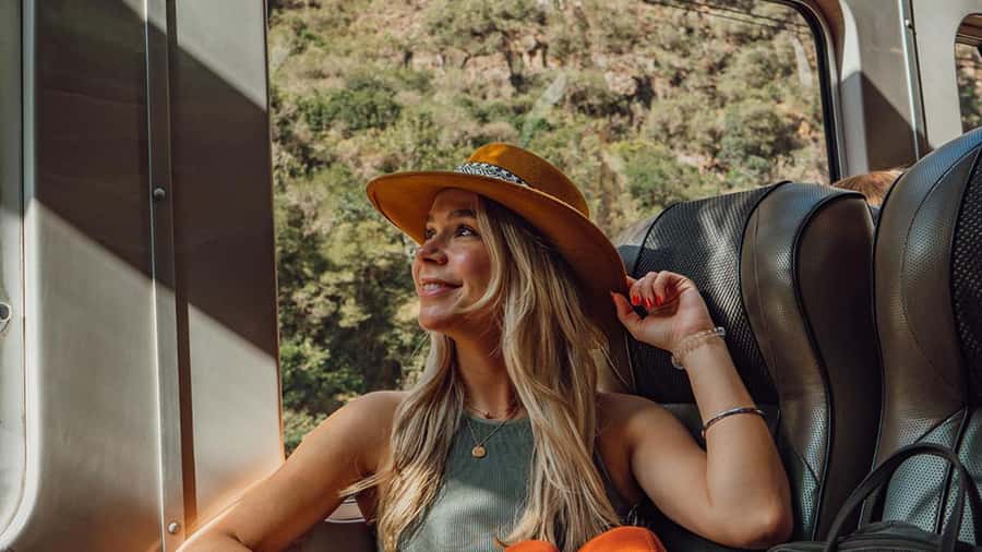 Machu Picchu: 1-day tour by Vistadome Observatory train - Booking Details That Can Save Trouble