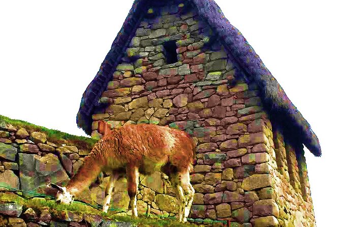 Machu Picchu 1 Day Tour from Cusco by Train - Entering Machu Picchu on Circuit 2
