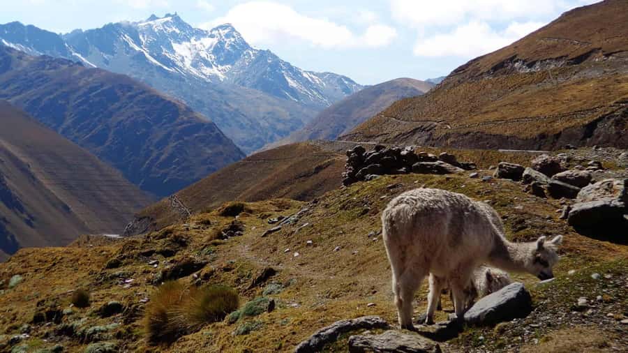 Machu Picchu 2 Days / 1 Night (By Bus) - Santa Maria and Santa Teresa: the day gets warmer