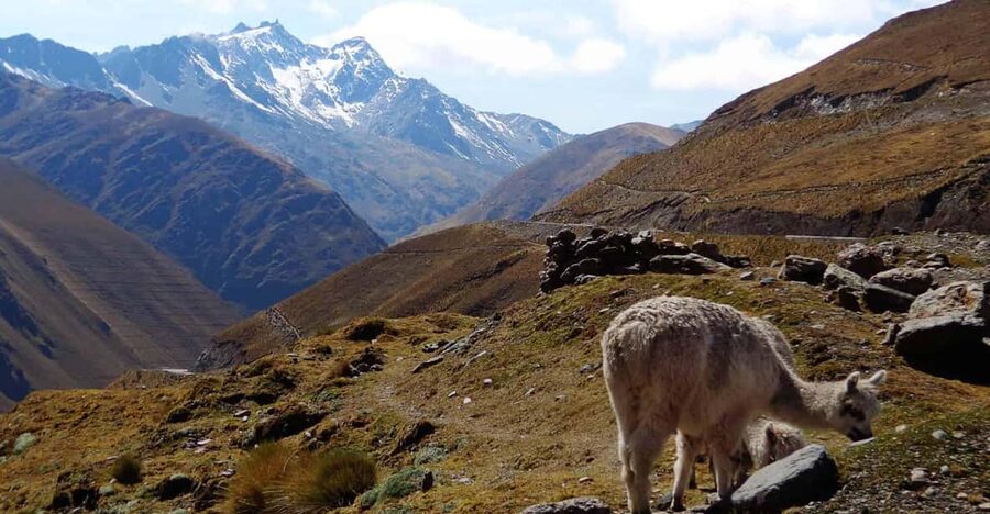 Machu Picchu 2 Days / 1 Night (By Bus) - What the $170 price includes