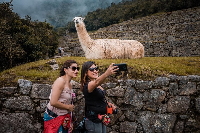 Machu Picchu Day Trip from Cusco - Your early Cusco pickup and train transfer