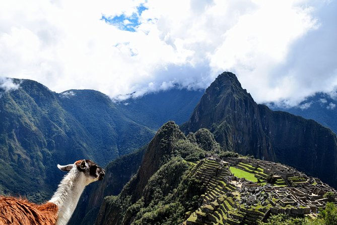 Machu Picchu Entrance Ticket - Choosing between a ticket and a guided package