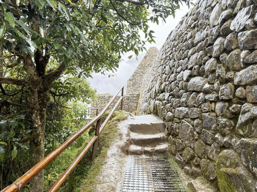 Machu Picchu Entry Ticket and Bus from Aguas Calientes - Practical strengths and weak spots
