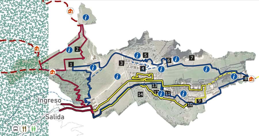 Machu Picchu Entry Ticket and Bus from Aguas Calientes - Entering the Lost Citadel with a fixed time