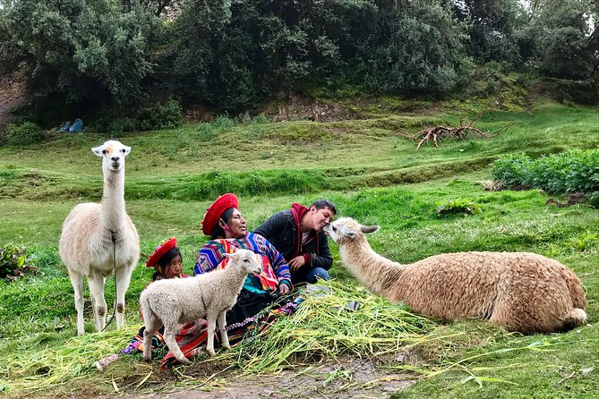 Machu Picchu Full Day from Cusco - Is $319.85 a fair price?