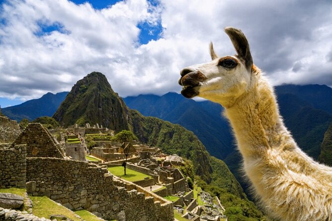 Machu Picchu Full Day with lunch by Aludi Travel - Machu Picchu with a guide, not just a photo stop