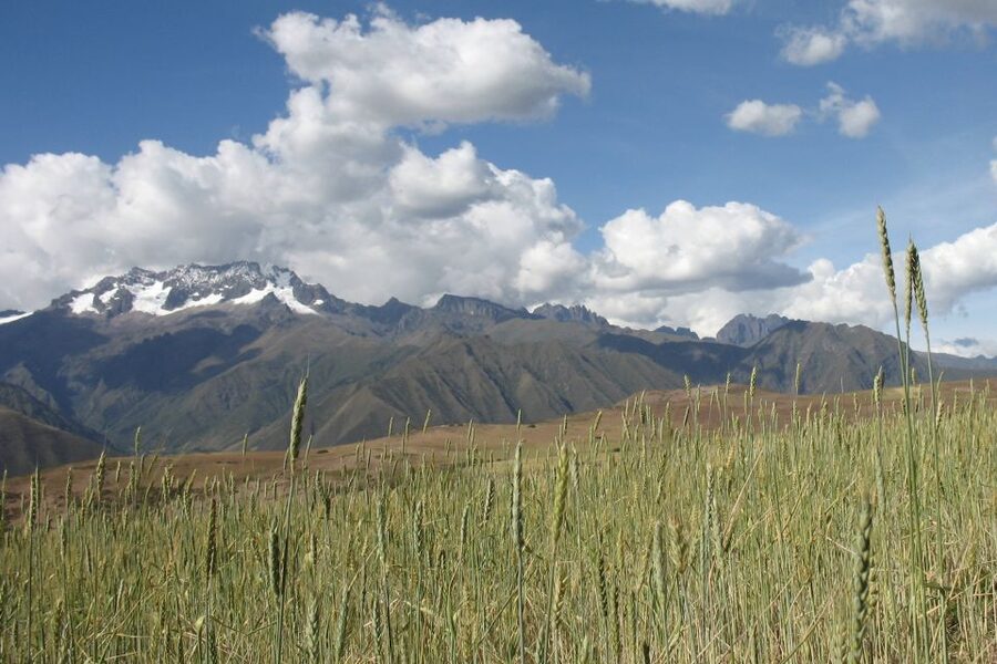 Machu Picchu: Private Full-Day Tour with Afternoon Entrance - Aguas Calientes before the return train