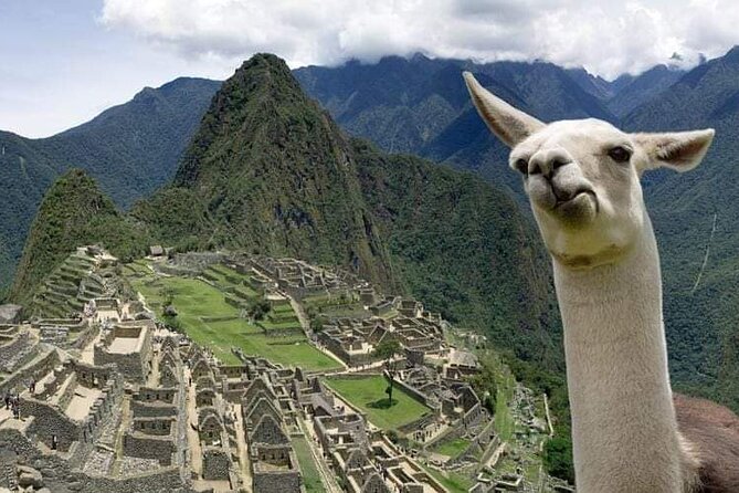 Machu Picchu Small Group Day Tour from Cusco - The 2.5-hour guided visit at Machu Picchu