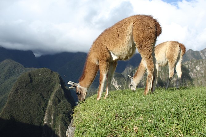 Machu Picchu Tour From Cusco Full Day - What the $425 Price Really Covers