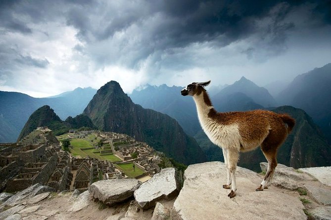 MachuPicchu Private Full Day Tour by Vistadome train from Cusco - Aguas Calientes: The Key Handoff