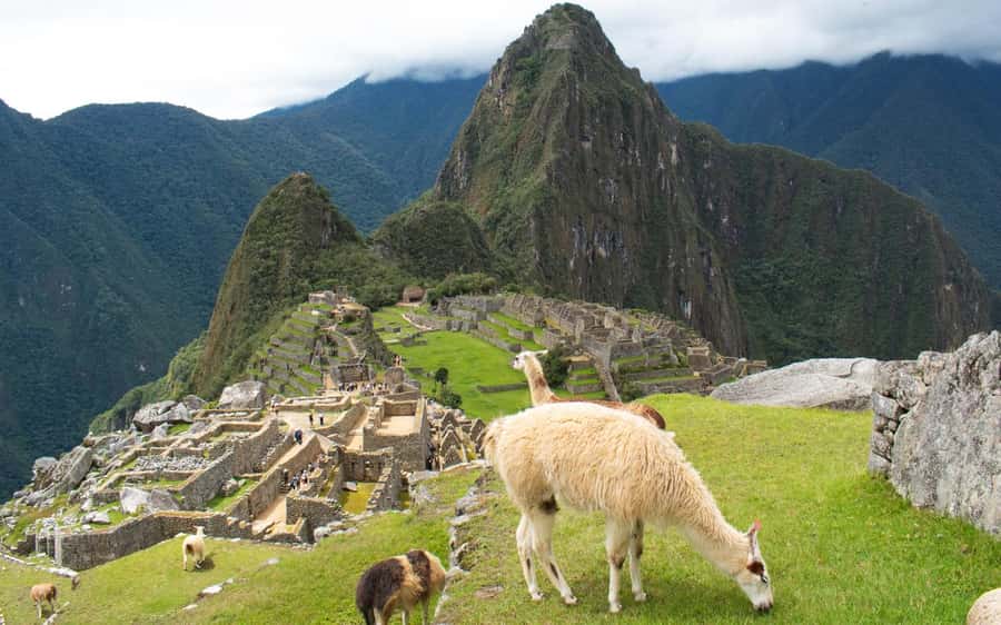 Machupicchu tour by tourist train in 2 days - Day two: the bus to Machu Picchu Sanctuary
