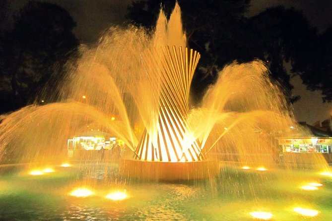 Magic Water Circuit with Dinner - Who will enjoy this experience most?
