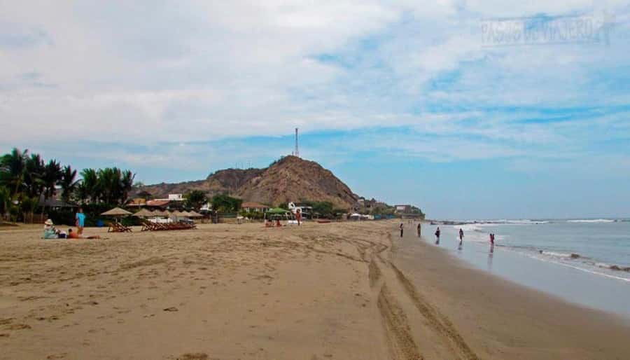 Mancora: Beaches and Tumbes Mangroves Day Trip - Who will enjoy this outing most