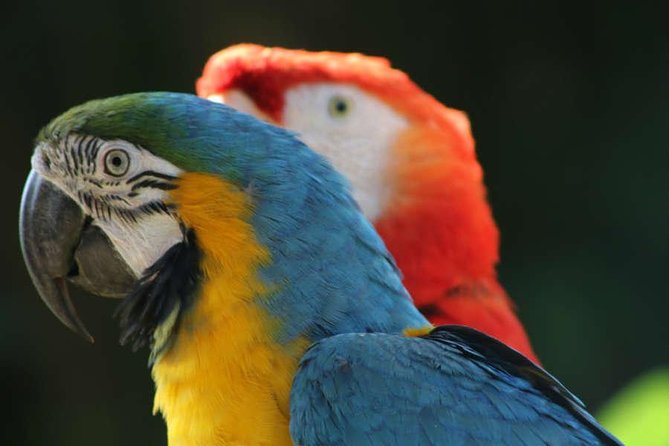 Manu Adventure (4 Days) - What the $1,000 price includes in value
