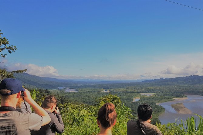 Manu National Park Tour 4days/3night - Birdwatching with Saulo, Symond, or another local guide