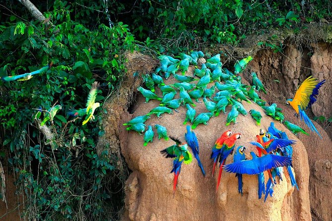 Manu National Park Tour 4days/3night - Jungle lodging: practical, not pampered
