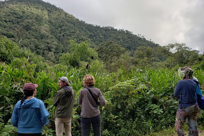 Manu National Park Tour 4days/3night - What $470 per person really buys