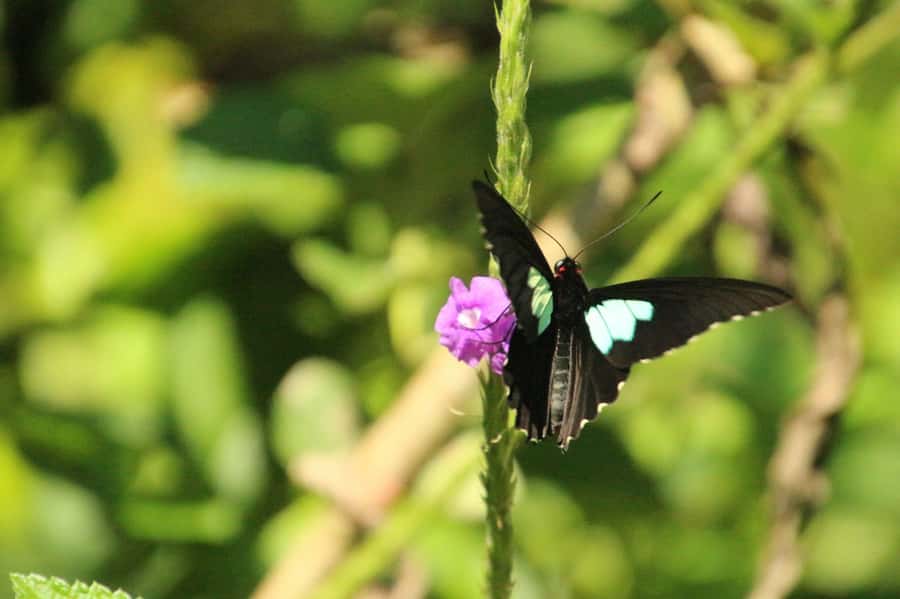 Manu National Park Tours from Cusco 5 Days - What the $673 price really covers