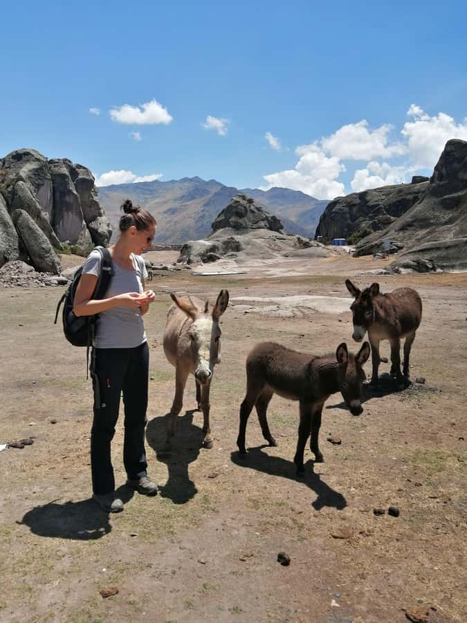 Marcahuasi Experience in Lima - The return to Lima and the real time commitment