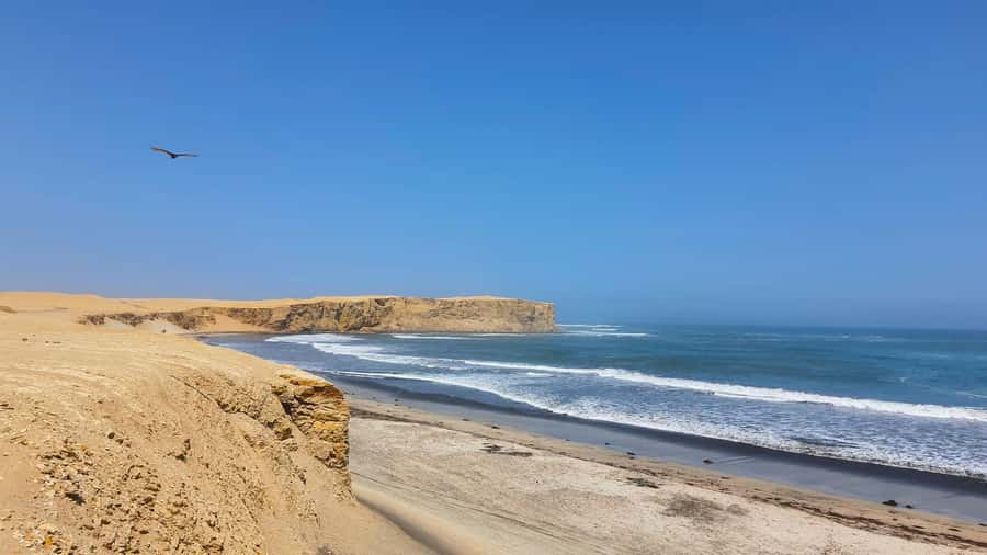 Mini Buggy GO KART in Paracas National Reserve - Comfort, clothing, and age requirements