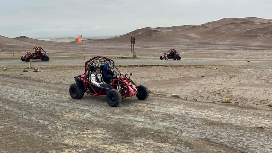 Mini Buggy GO KART in Paracas National Reserve - Yumaque Beach and its quiet desert setting