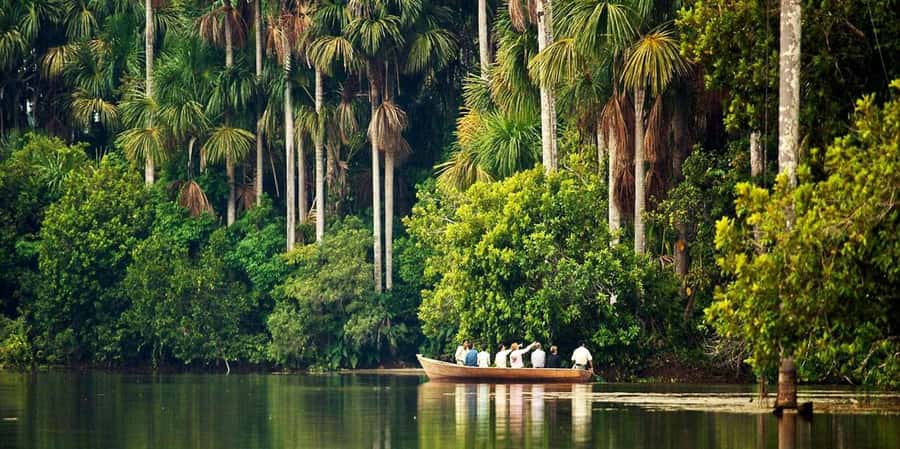 Monkey Island + Lake Sandoval 2D/1N - From Puerto Maldonado to a Jungle Lodge