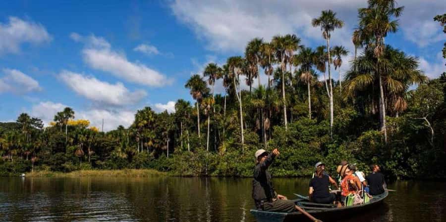 Monkey Island + Lake Sandoval 2D/1N - Lunch, Pool Time, and the Return to Puerto Maldonado