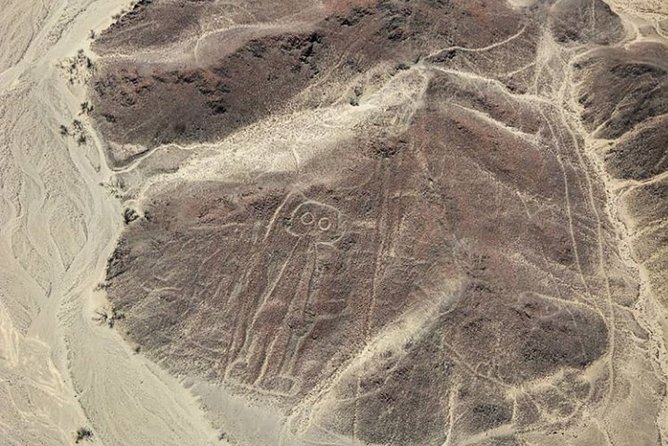 Nazca Lines and Huacachina Oasis from Lima - Huacachina Oasis, palms, dunes, and limited free time