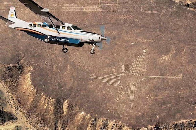Nazca Lines and Huacachina Oasis from Lima - Seeing more than a dozen Nazca geoglyphs from the air