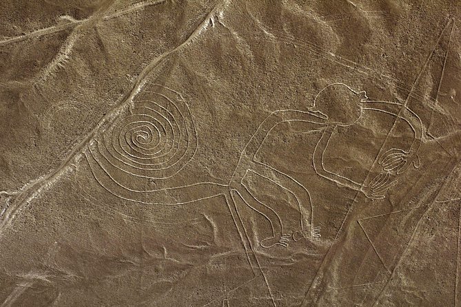 Nazca Lines & Ballestas Islands Private Tour Bus&Flight from Lima - Waiting around Paracas between activities