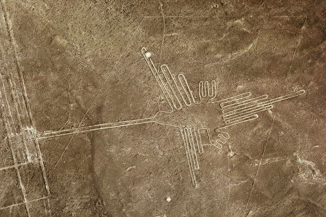 Nazca Lines & Ballestas Islands Private Tour Bus&Flight from Lima - Flying over the Nazca Lines from Pisco
