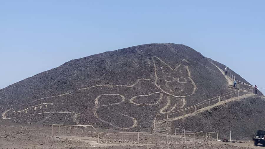 Nazca: Maria Reiche Museum and Nazca Lines Viewpoint Tour - At the Maria Reiche Museum