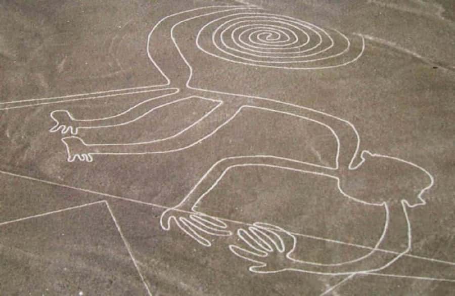 Nazca: Overflight of the Nazca Lines - The one-hour Nazca and Palpa flight