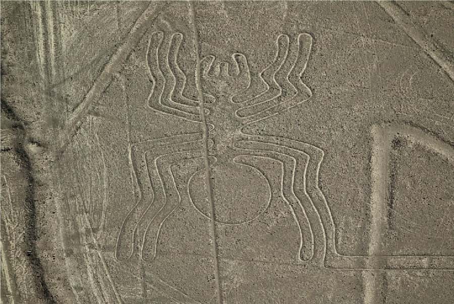 Nazca: Overflight of the Nazca Lines - What the guide and airport staff add
