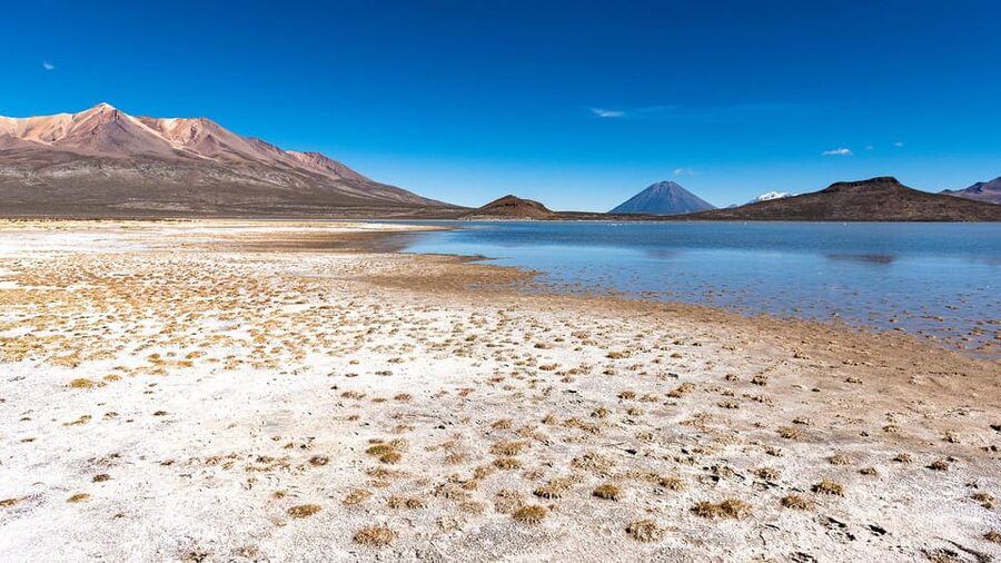 Offer Price Tour Salinas Lagoon and National Reserve 8 hours - Salt production behind PichuPichu