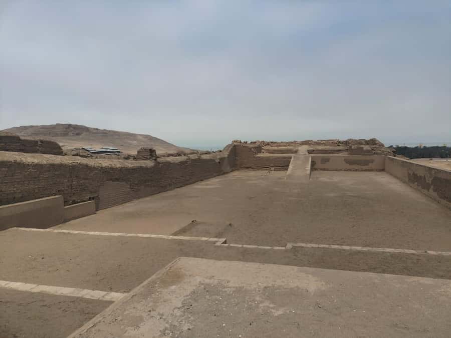Pachacamac: Private tour of the Great Archaeological Sanctuary and Site Museum - Who should book this Pachacamac tour?