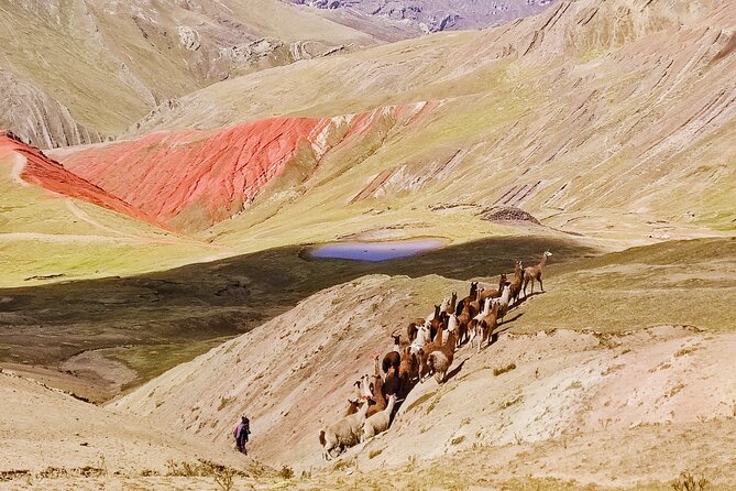 Palccoyo Rainbow Mountains Full Day Tour from Cusco - Lunch in San Pedro and the four-lagoon circuit
