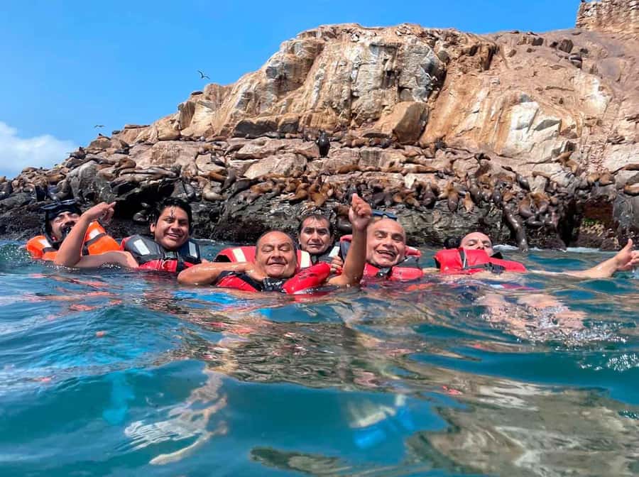 Palomino Islands Yacht Tour and swim alongside the sea lions - Key points to know before booking
