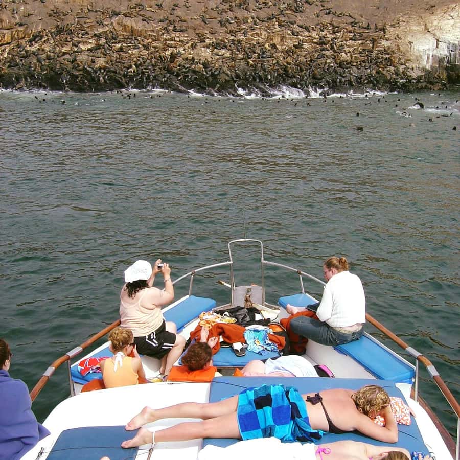 Palomino Islands Yacht Tour and swim alongside the sea lions - The yacht ride past Callao’s coastal sights