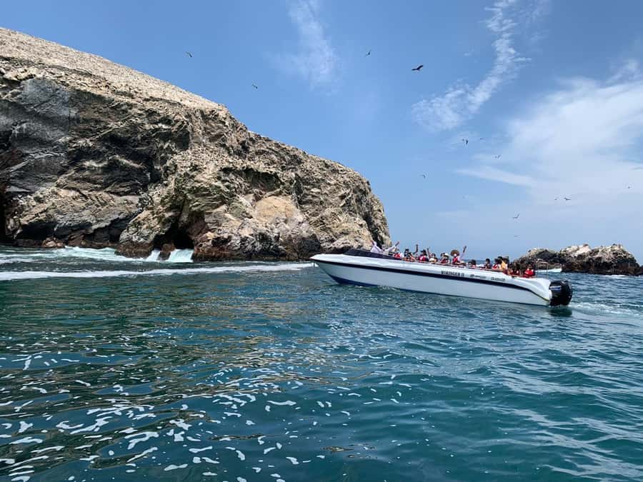 Paracas: Ballestas Island & Nature Reserve all inclusive - Lagunillas and the final hour