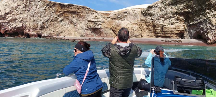 Paracas: Ballestas Island & Nature Reserve all inclusive - Ballestas Islands: birds, sea lions, and penguins