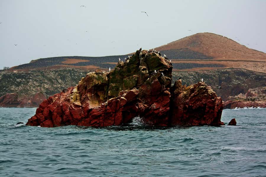 Paracas: Ballestas Islands and Candelabra of Paracas Boat - What the guide adds to the two-hour route