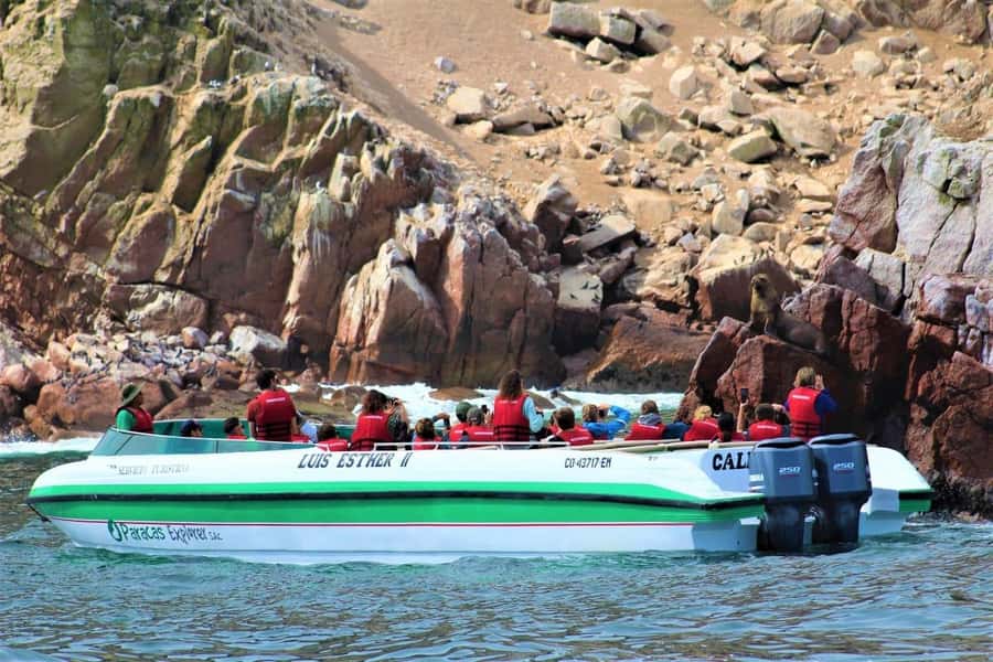 Paracas: Ballestas Islands and Candelabra of Paracas Boat - Meeting at the port and getting ready for the water