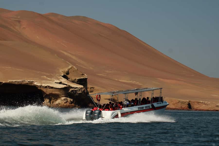 PARACAS: BALLESTAS ISLANDS AND NATIONAL RESERVE - What makes the wildlife stop worthwhile