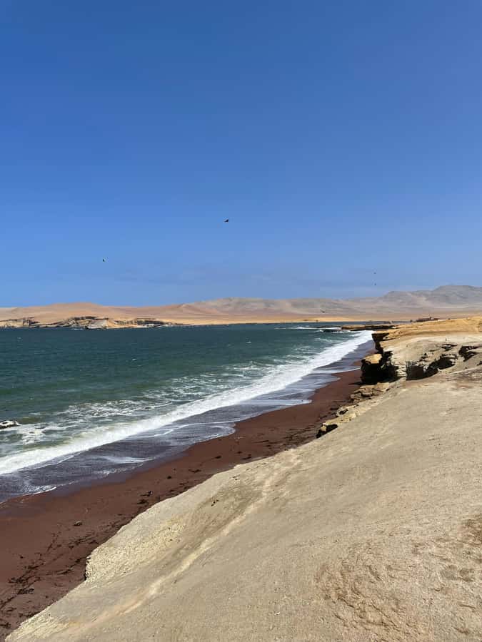 PARACAS: BALLESTAS ISLANDS AND NATIONAL RESERVE - The 45-minute pause in Paracas