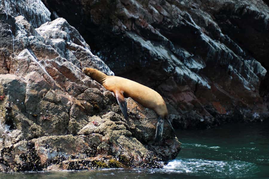 PARACAS: BALLESTAS ISLANDS AND NATIONAL RESERVE - Yumaque Beach and the reserve’s quiet curves