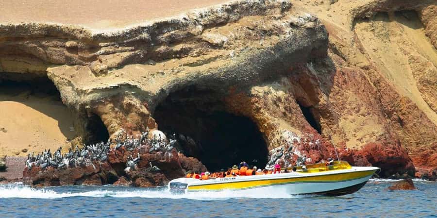 Paracas: Ballestas Islands Boat tour - Islas Ballestas - Five things to know before you go