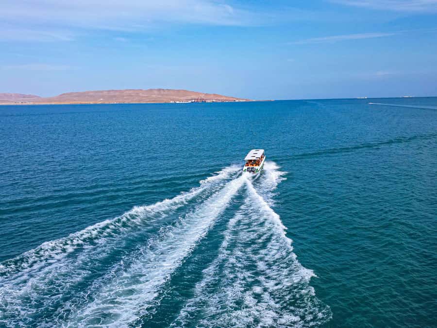 Paracas: Ballestas Islands Guided Boat Tour - Key points at a glance